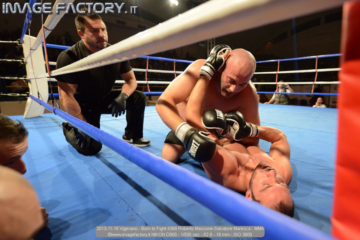 2013-11-16 Vigevano - Born to Fight 4368 Roberto Massone-Salvatore Maresca - MMA